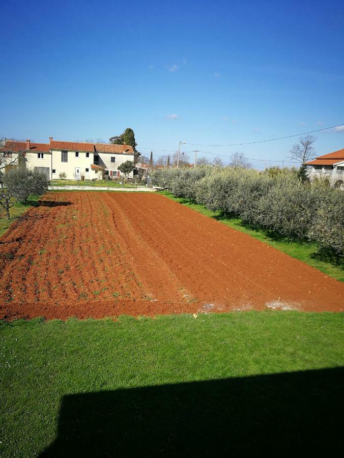 Apartament Ljubica Žbandaj Zewnętrze zdjęcie